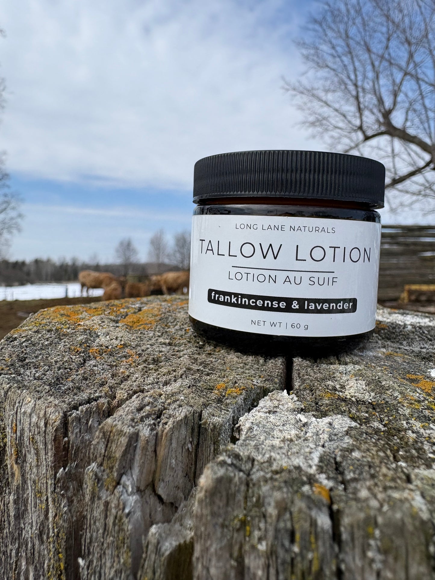 Tallow Lotion