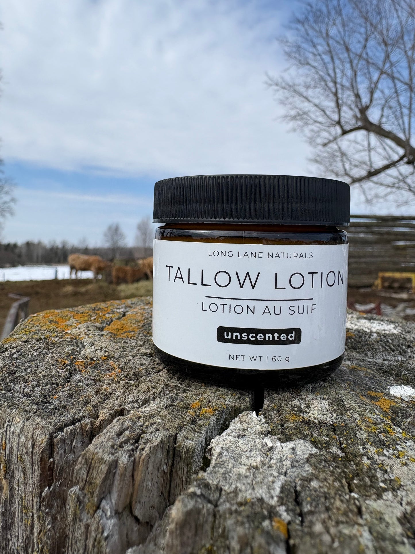 Tallow Lotion