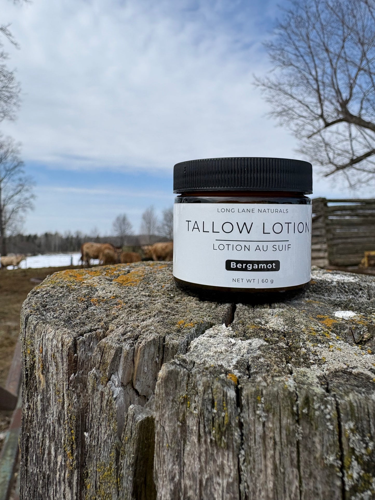 Tallow Lotion
