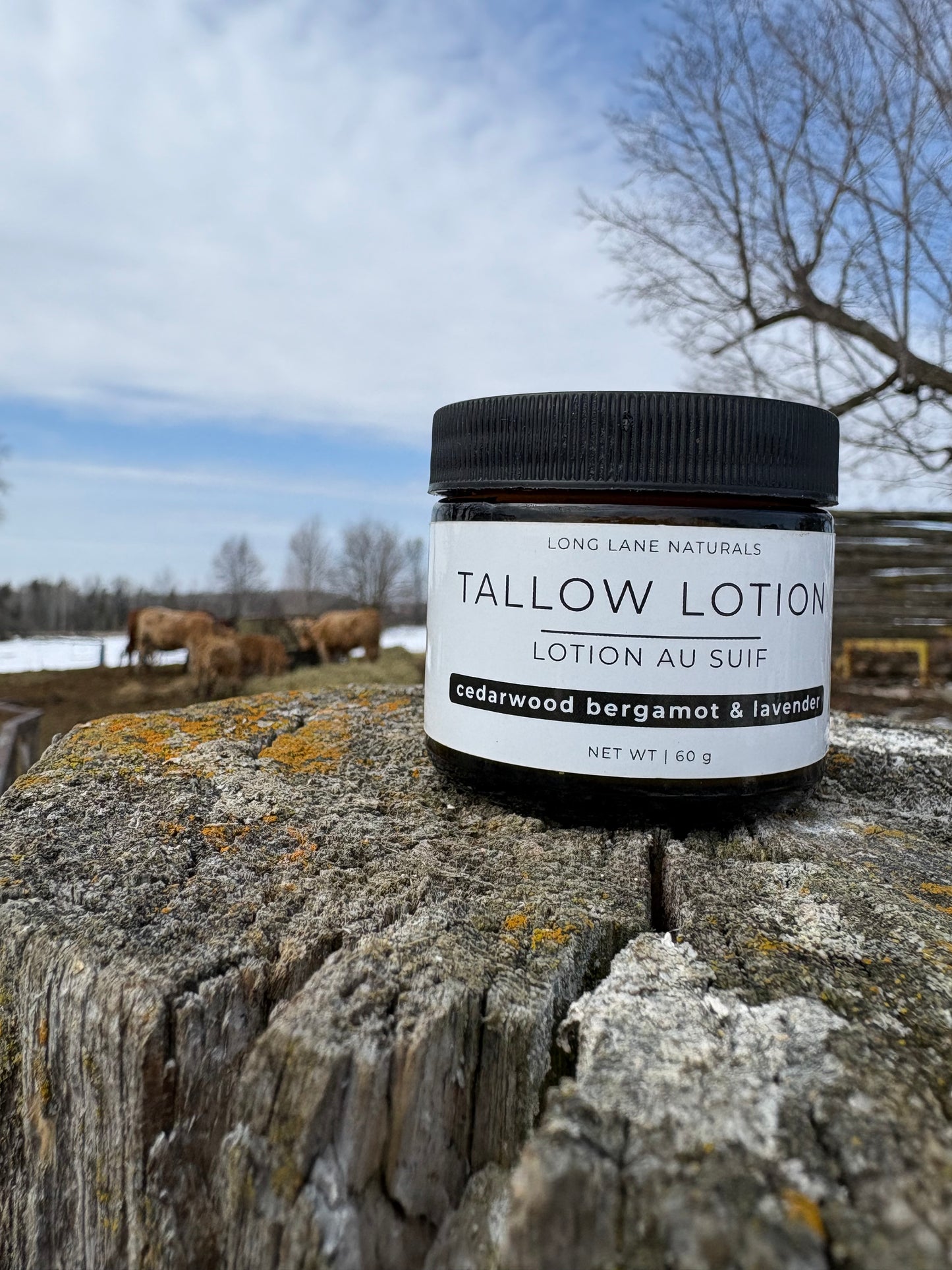 Tallow Lotion